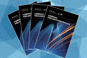 《从蓝图到伟业：中国企业数字化转型的思考与行动》