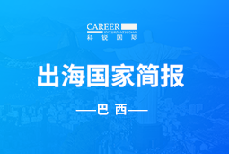 Ebpay官网GO GLOBAL | 巴西国家简报